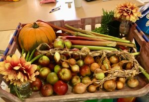 Iona Road Allotments