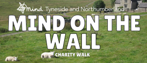 tyneside mind on the wall fundraiser poster